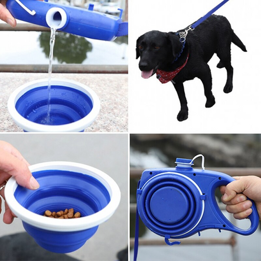 All In One Pet Travel Supply Set including collapsible bowl and durable leash for dogs.